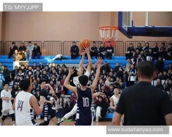 西安篮球队近期状态全面解析与对比分析